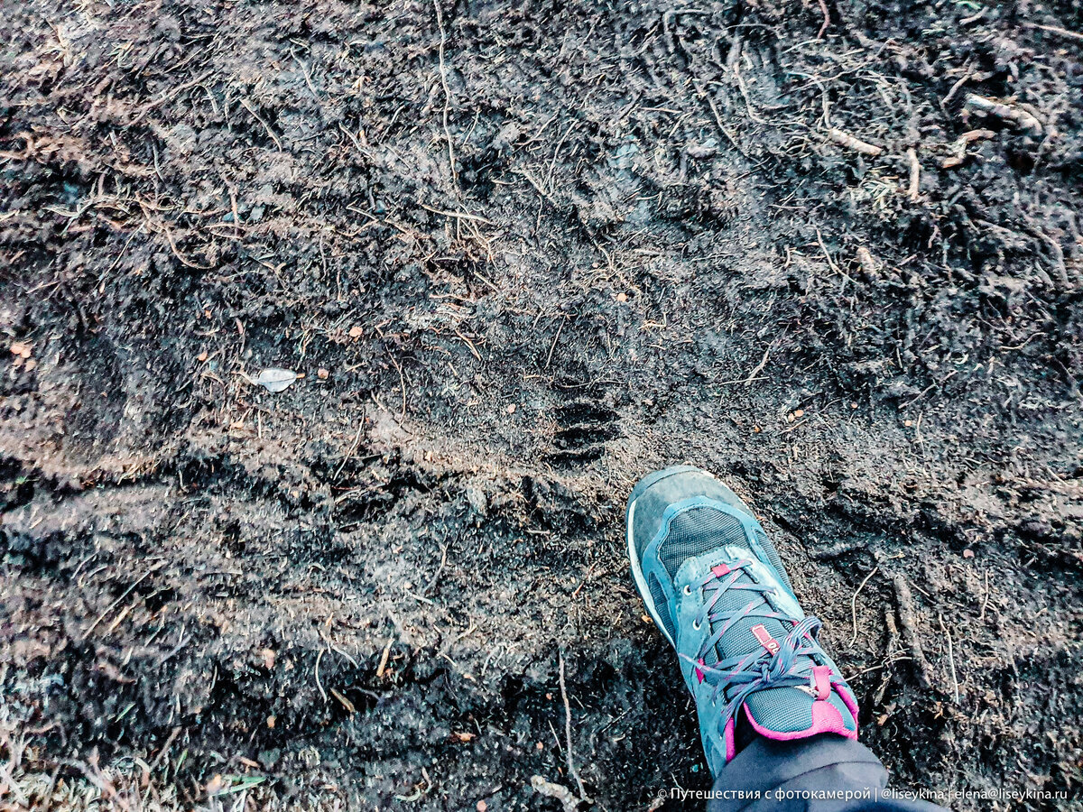 Одинокий домик на Урале: жизнь вдали от городской суеты