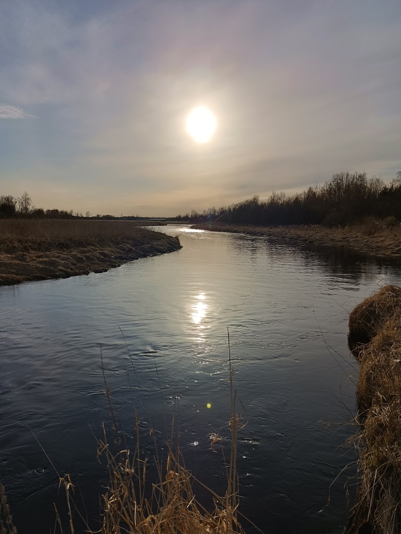 На "Ивановские Торжища"
