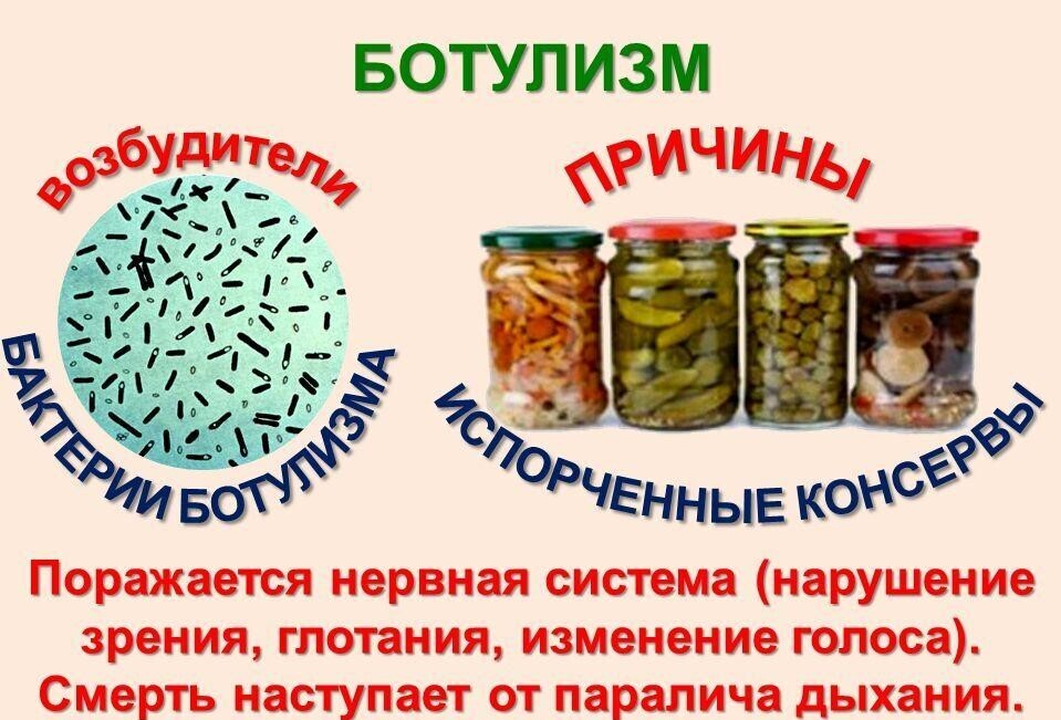 Ботулизм: тихий убийца, скрывающийся в консервах. Как защитить себя от ботулизма?