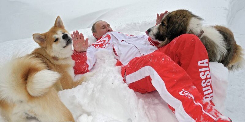 Эксперт назвал малоизвестной породу подаренной Путину в КНДР собаки