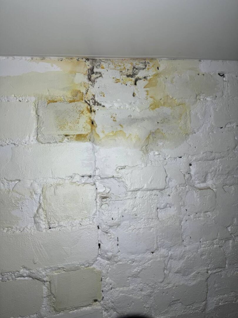 Жители дома в самом сердце Воронежа утопают в нечистотах. 18+