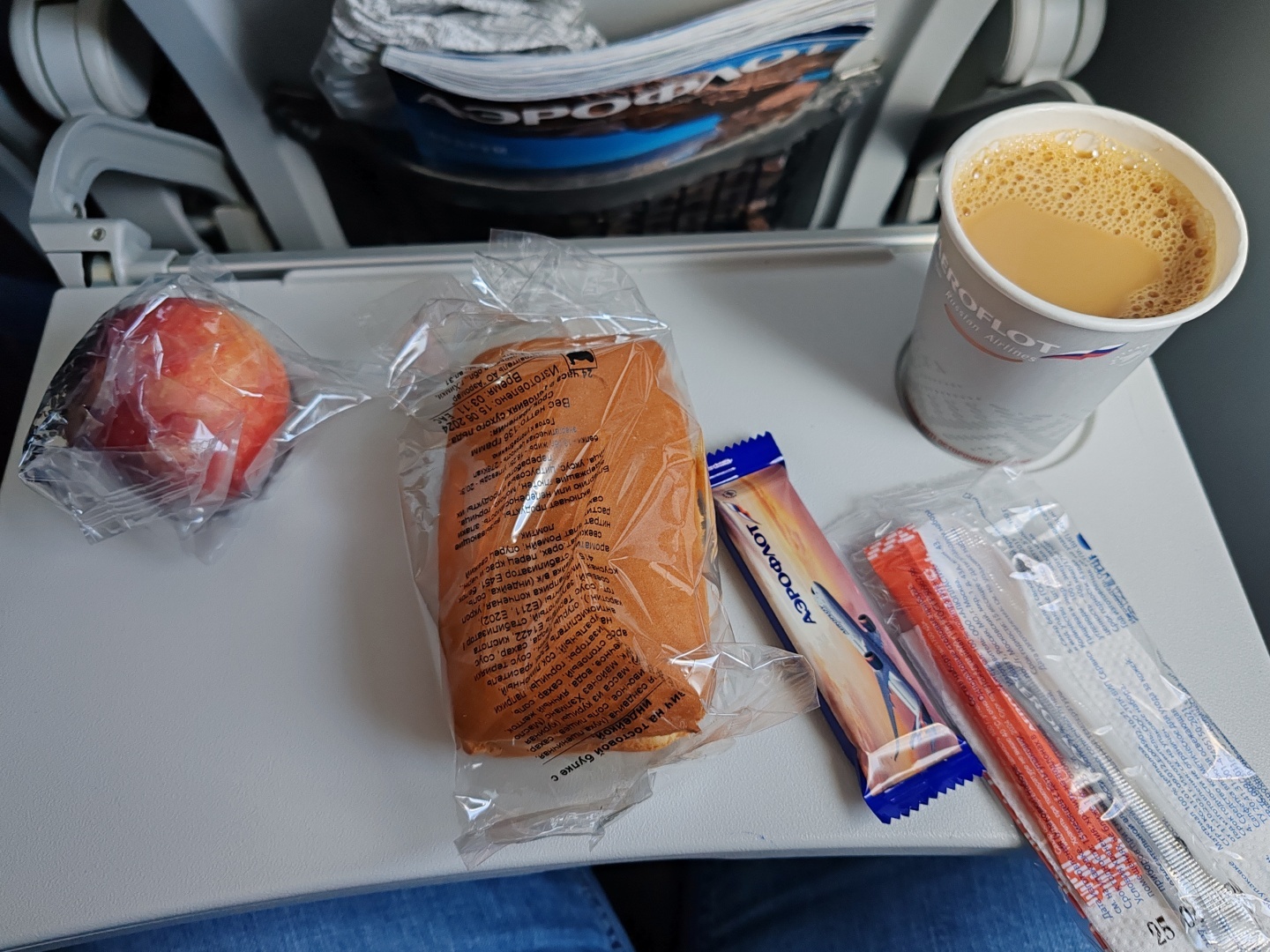 Аэрофлот 2024. Как купить недорогие билеты, чем кормят на борту и бонус: разбитый чемодан.