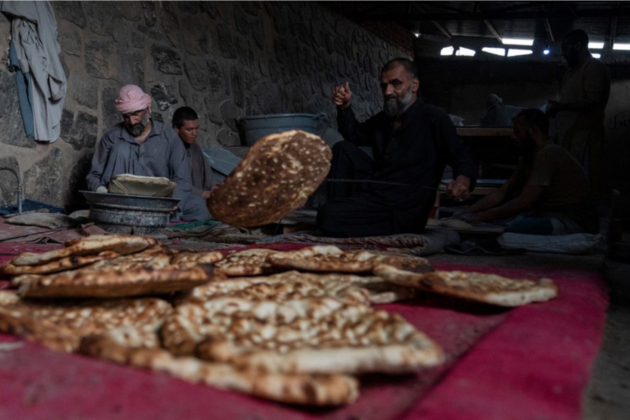 Запрет Талибана на опиум находится под угрозой из-за изменения климата, поскольку альтернативные культуры борются