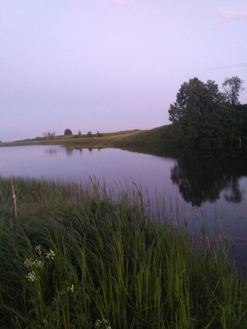 22 июня: на Ивана на Купалу на Руси светлее стало: или как мы отмечаем этот славянский праздник