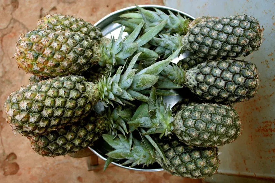 Путешествие в Бенин. Экскурсии, пляжи, проституция и др.