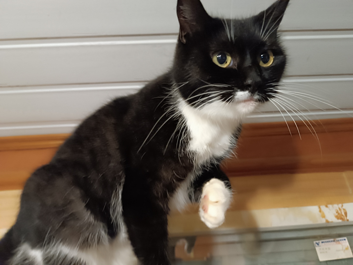 Человек располагающий / Часть первая/Теория вероятности (?)