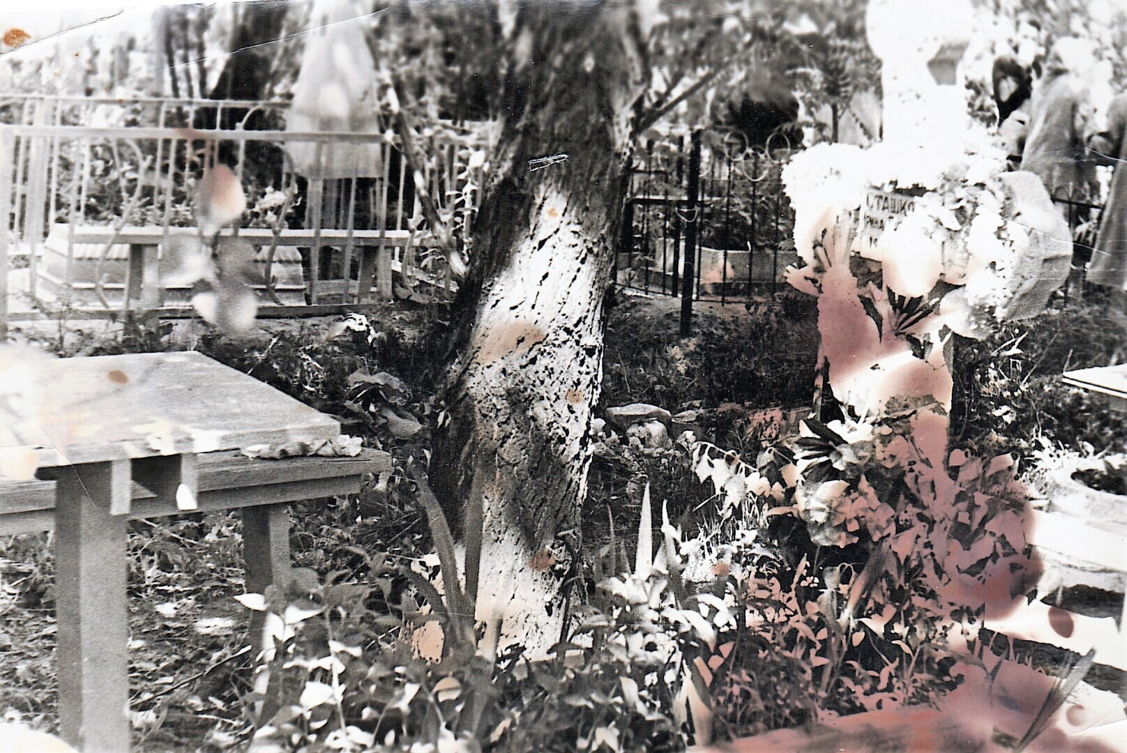 Троица /1973 год.