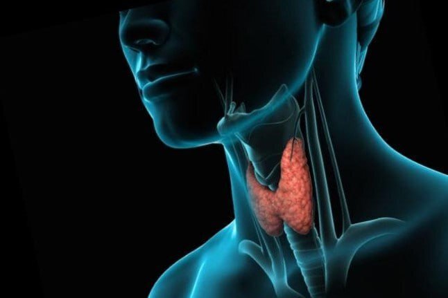 Поддержим щитовидную железу