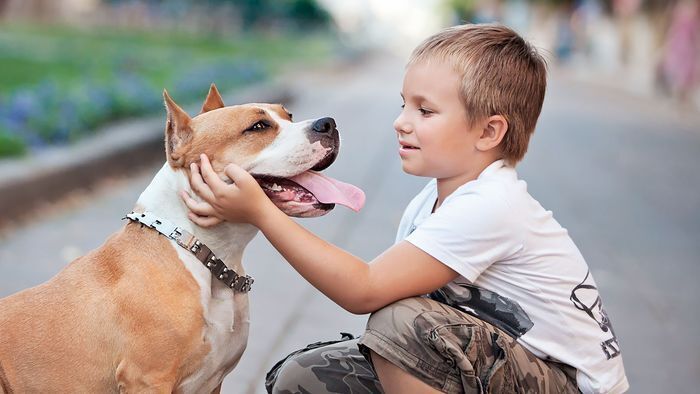 Как преодолеть страх перед собаками: практичные советы и рекомендации
