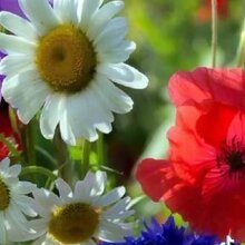 Раиса, г. Москва