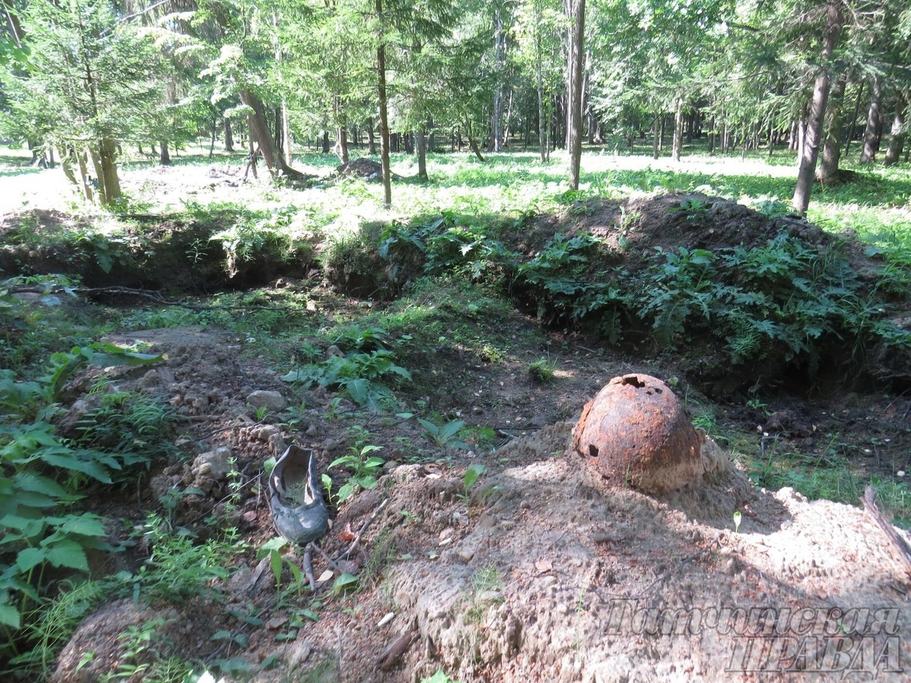 О чем молчат местные места. Парк Сильвия. Гатчина