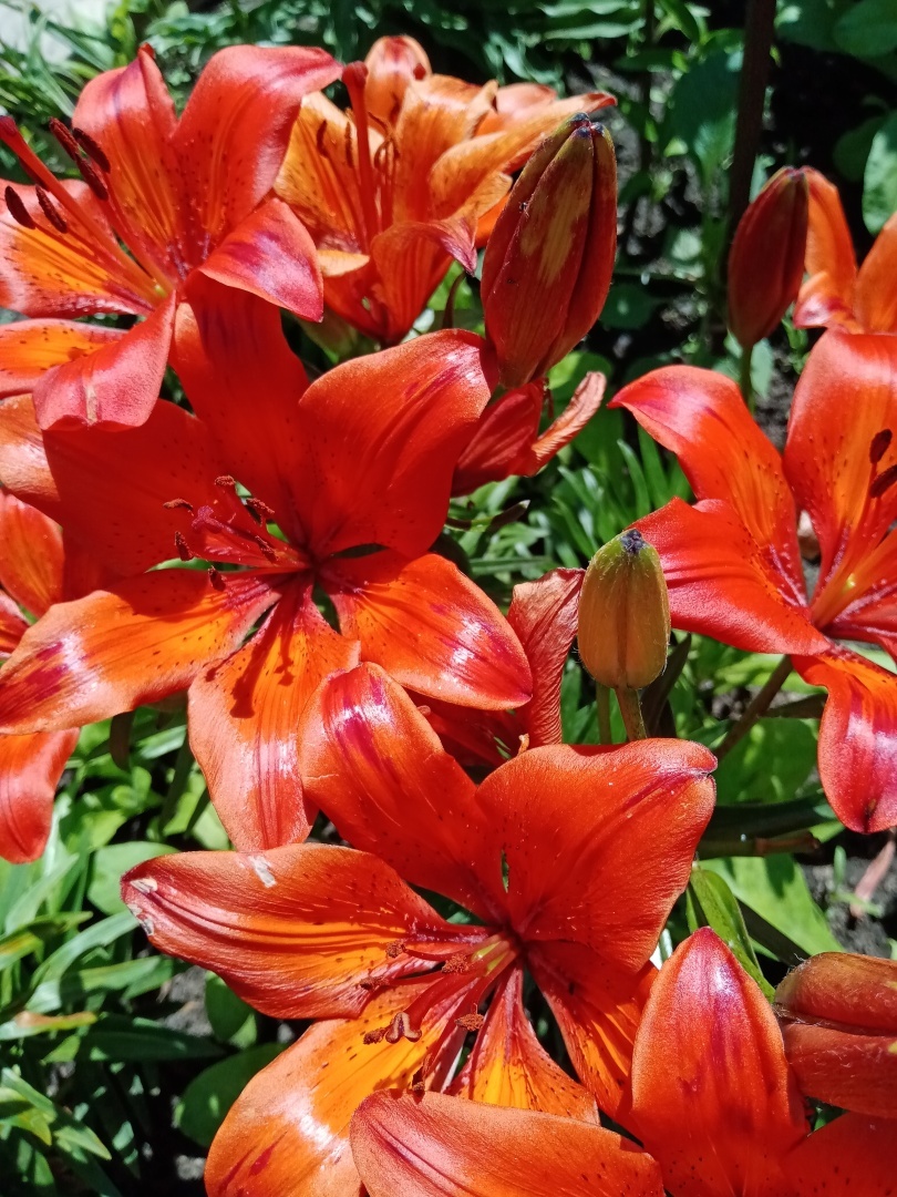 Когда случилось выгорание... возьмите в руки карандаш!