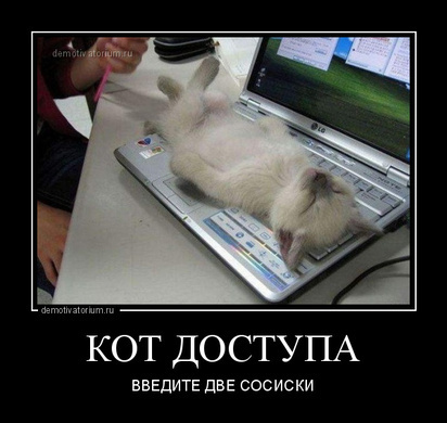 О людях, гордыне и братьях наших меньших