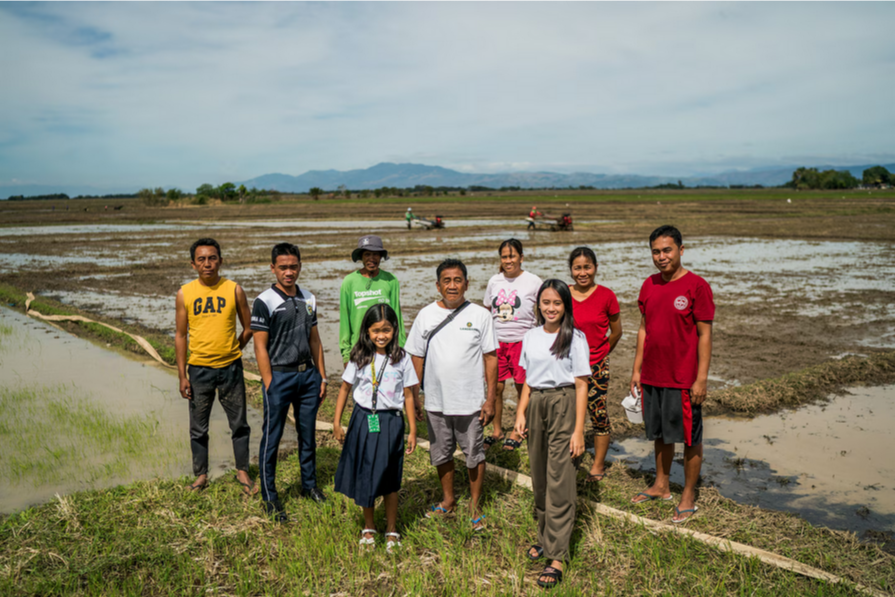 Филиппинам нужен рис, но молодые люди не хотят его выращивать