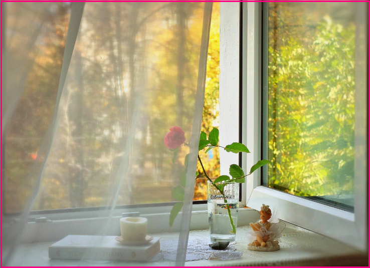 Благословение у окна