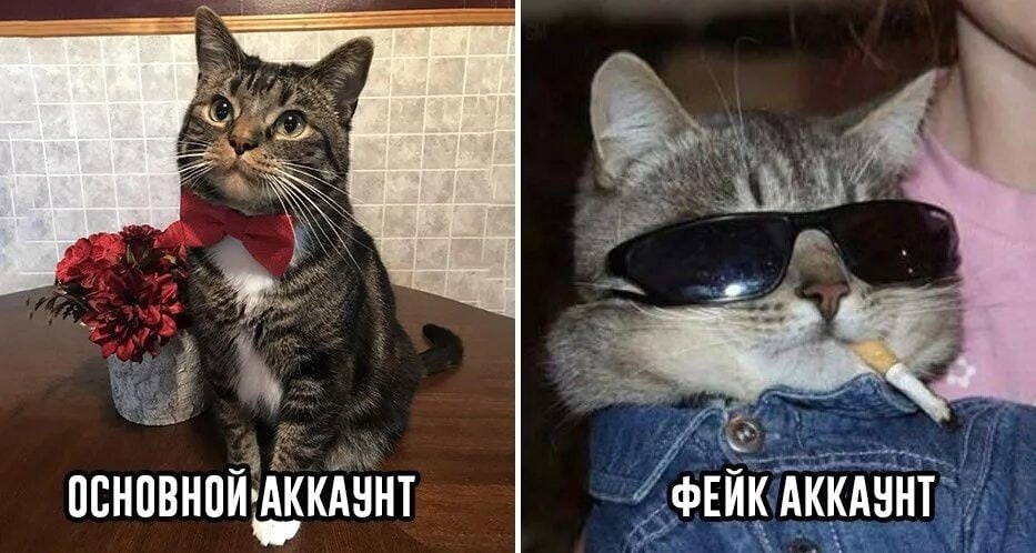 Распространение фейковых новостей в современном мир