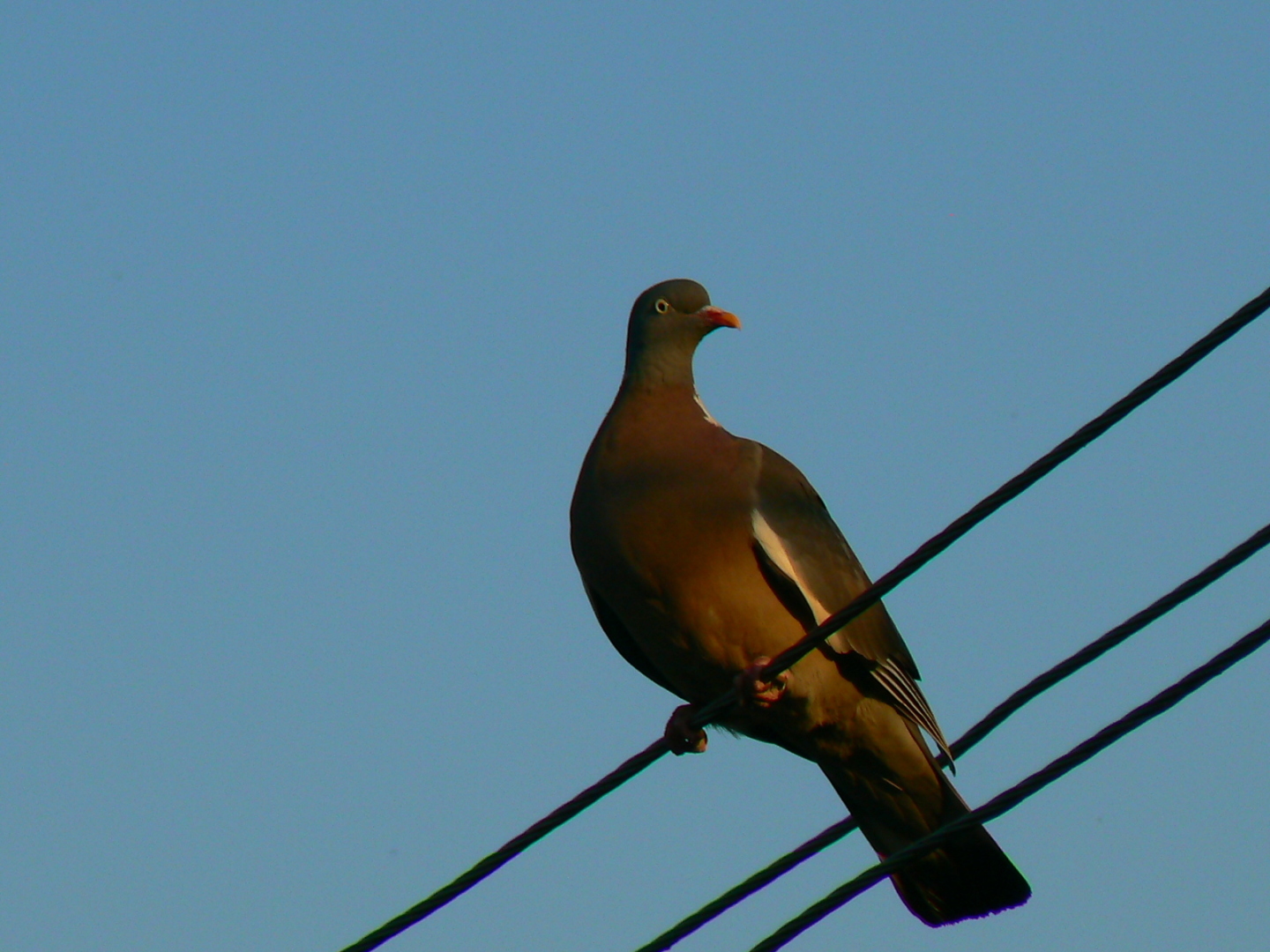 О юбилеях и подарках.
