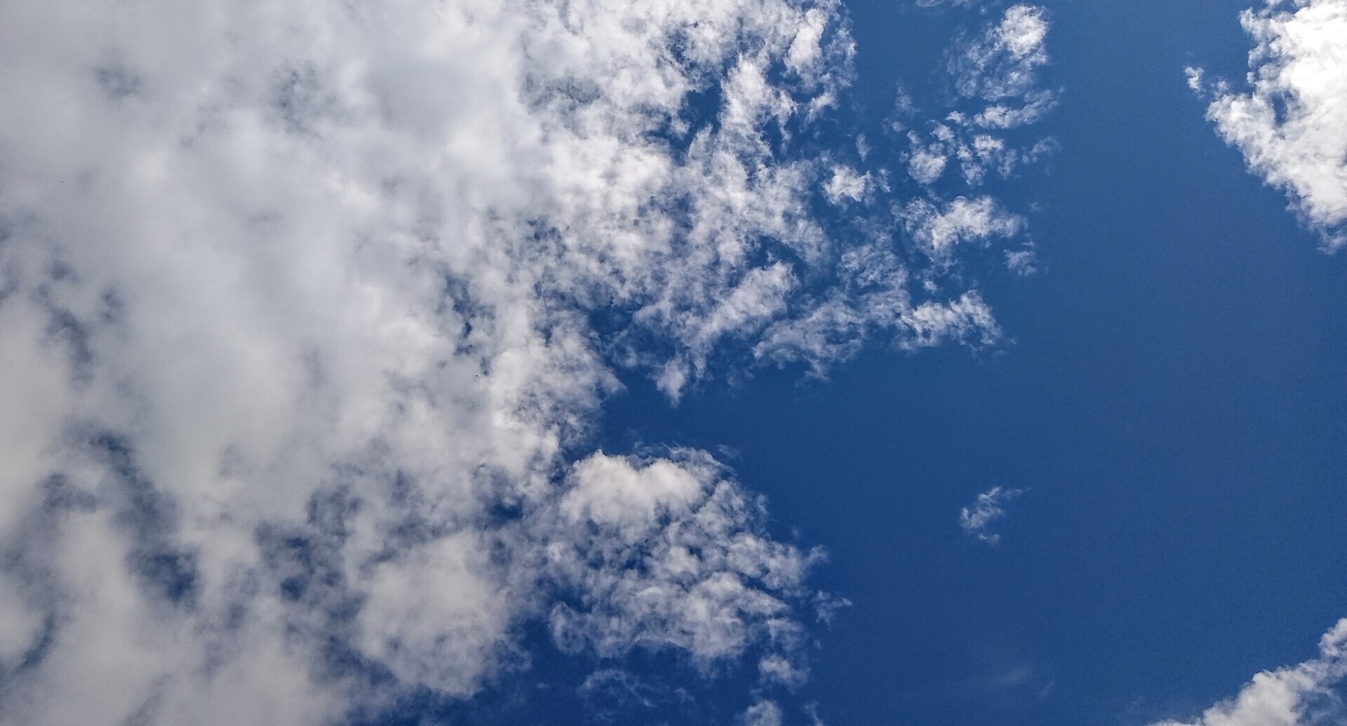 Живу без телевизора 20 лет. При этом в курсе новостей, видела все, что хотела увидеть. Что мне заменило зомбиящик, из которого столько мути льется...