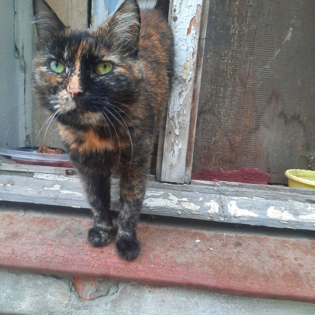 Виталий и его одиночество