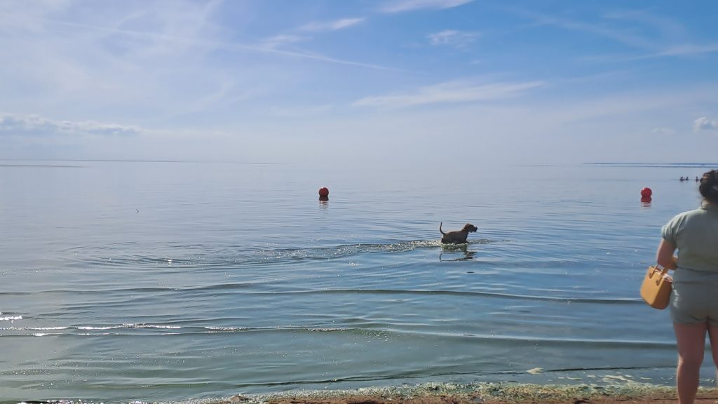 Синоптик Вильфанд объяснил, почему июль может стать рекордно жарким для Земли?
