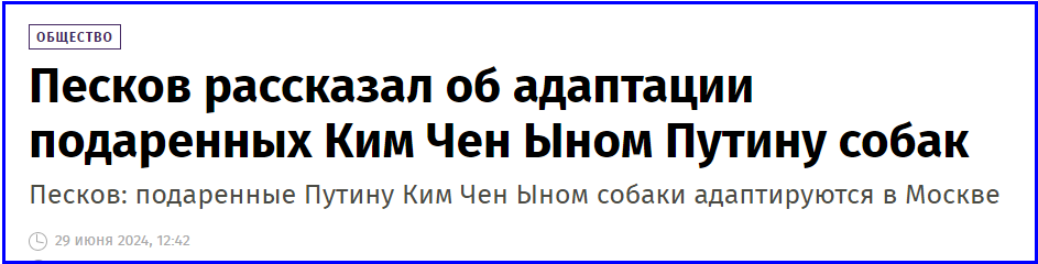 🔔Материнская гордость за наши впечатляющие адаптации и инновации☝️