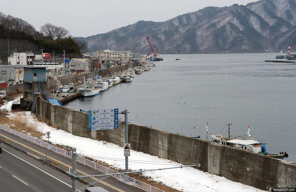 Новоднения-это природное явление!