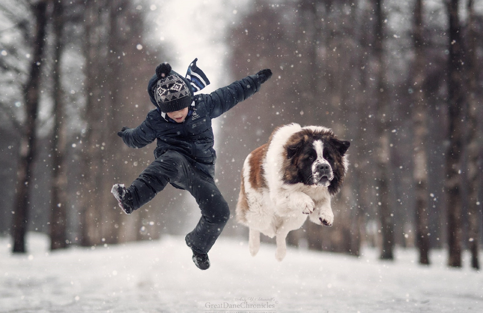 Действительно ли домашние животные делают людей счастливее и здоровее?