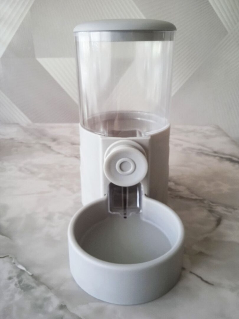 Хотела сделать кошке подарок — купила кормушку, но ее придется возвращать!