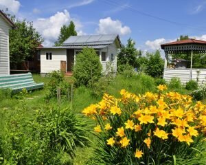 Все про взносы в СНТ.