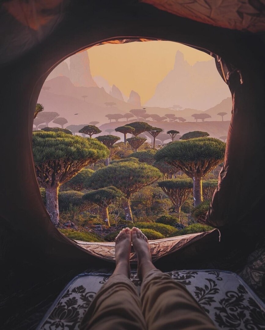 "Архипелаг Сокотра: природная сокровищница Йемена"