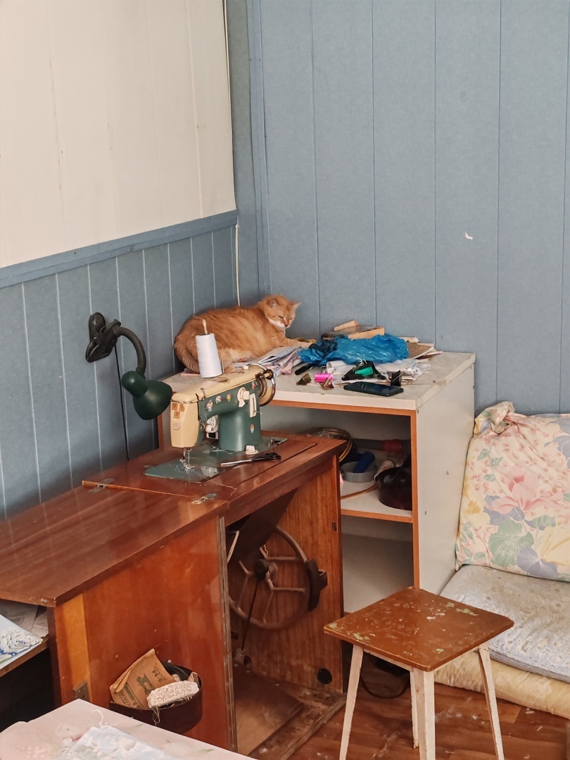 Сухая чистка подушек. Вы о таком слышали? Не нужно выбрасывать старую подушку, ей просто нужно почистить перышки. 🤗