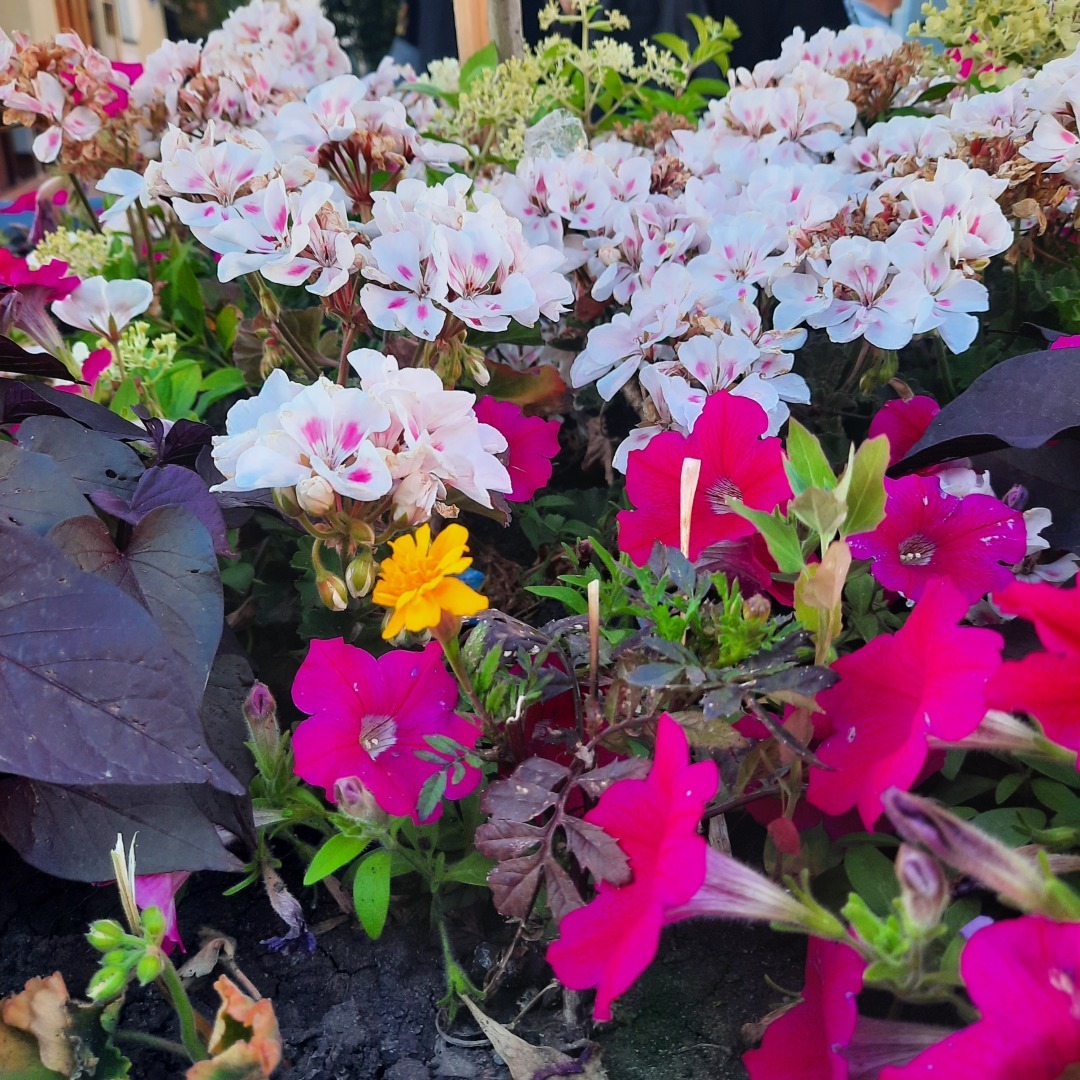 Мой небольшой отпуск: Пьяная Настя, Квиз плиз и турбаза Островок.