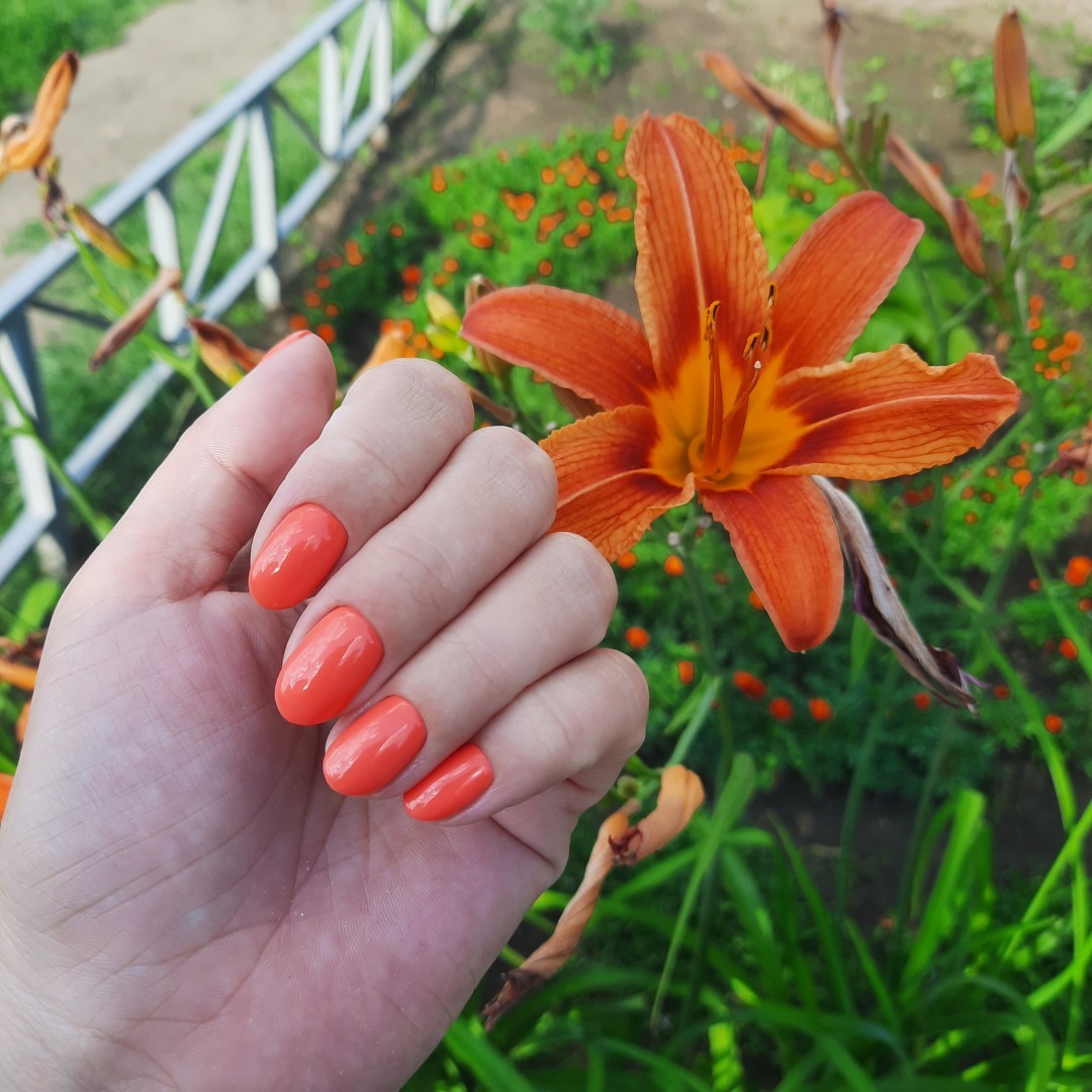 Мой небольшой отпуск: Пьяная Настя, Квиз плиз и турбаза Островок.