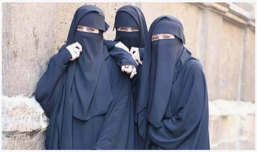 Запрет ношения никабов. Наконец-то разумное решение вышло в свет