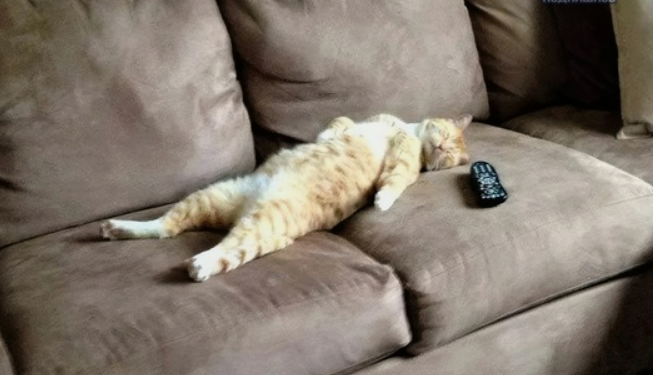 Врачи советуют побольше лениться, чтобы выжить в аномальную жару