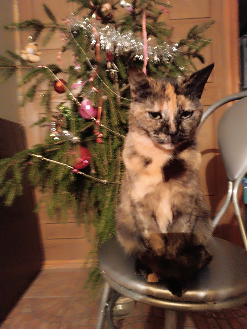 Человек располагающий/ Часть Вторая - "Закон Подлости"/ Драма "Песнь Кассандры". Акт 1. "Ловушка"