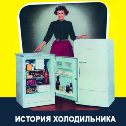 Чем закончилась история про поврежденный холодильник? Вы просили продолжение — я написала!)