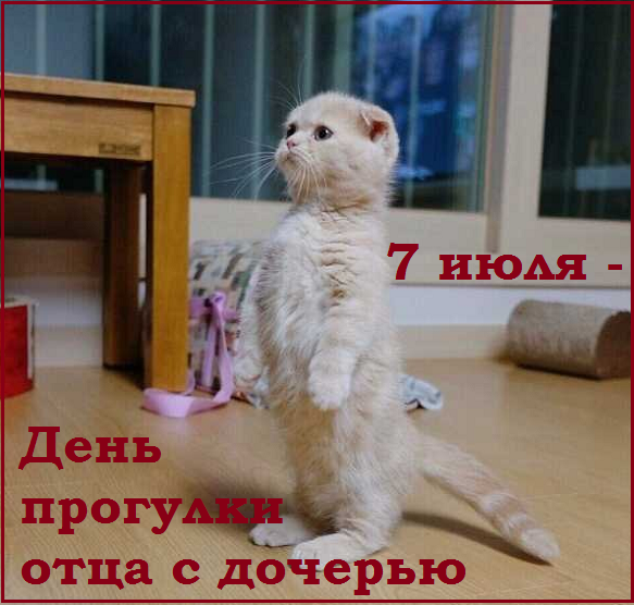 🤗Котопозитивчик пяти праздников❤️