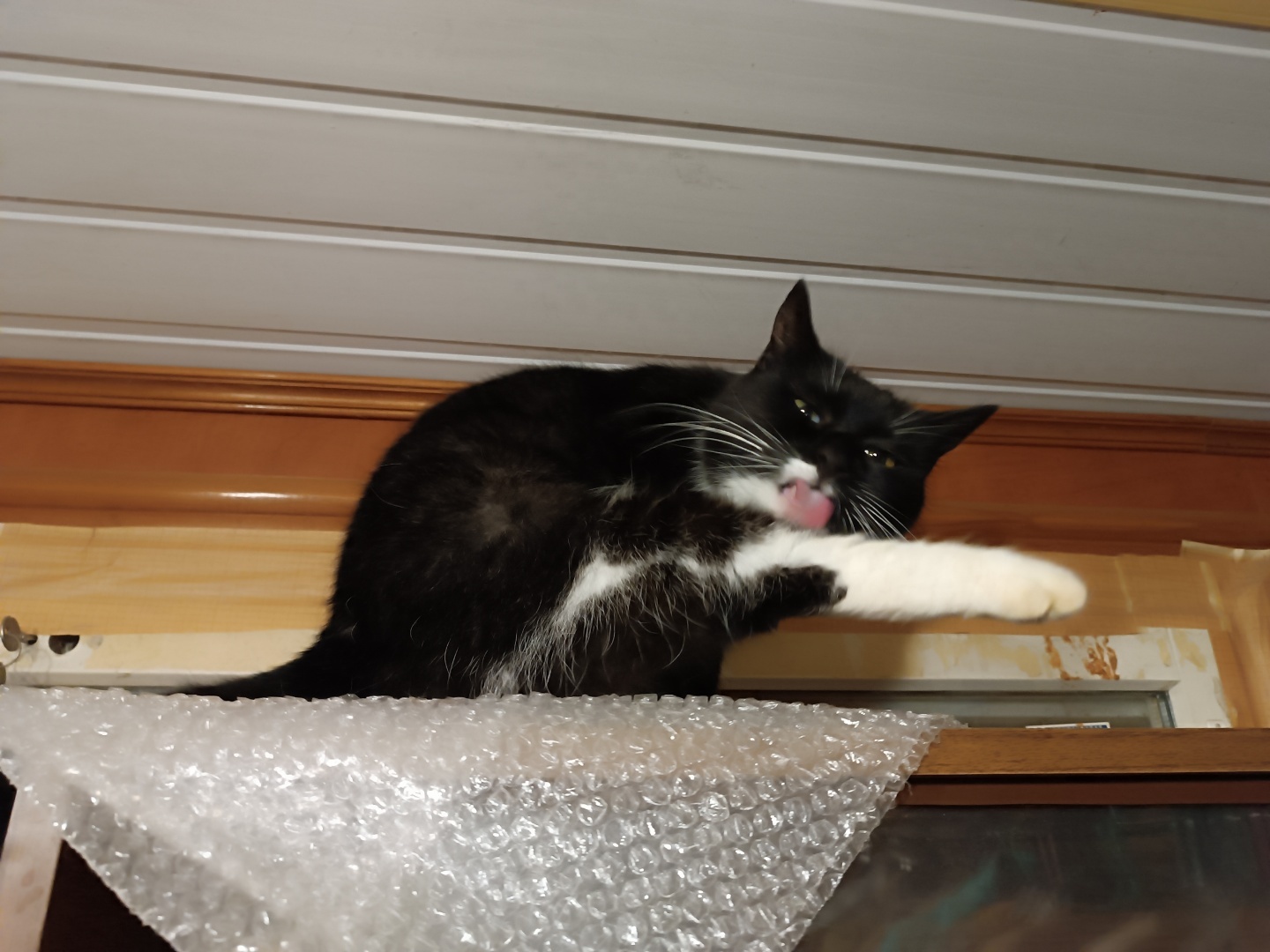 Человек располагающий/ Часть Вторая - "Закон Подлости"/ Драма "Песнь Кассандры". Акт 2. "Из мышеловки"