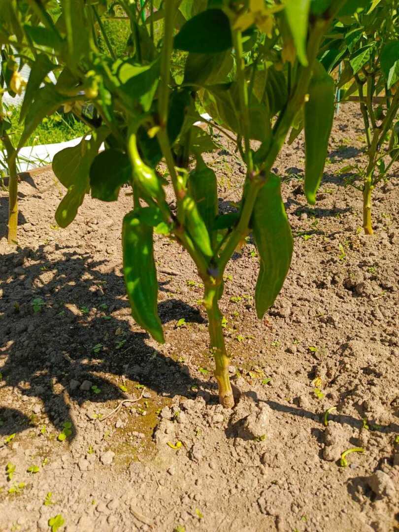 Почему в магазинах заоблачные цены? Магазины теперь только для богатых?