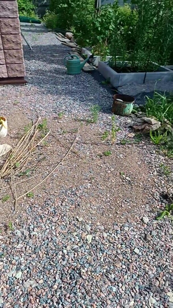 Человек располагающий/ Часть Вторая - "Закон Подлости"/ Драма "Песнь Кассандры". Акт 3. "Кладбище домашних животных?" - "Диагноз"