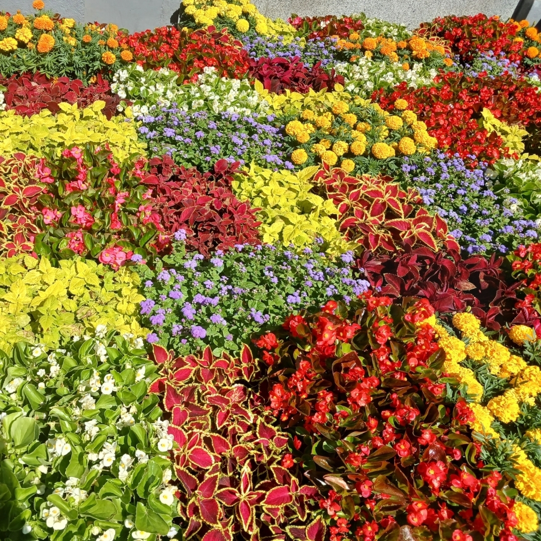 Цены в ГУМе. 12.000 за мясо