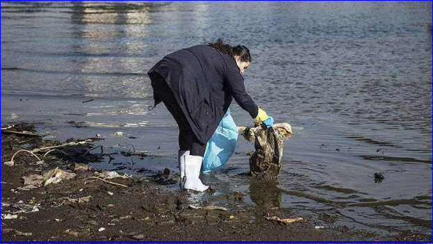 ✔️ Провал нацпроекта за 127 млрд ₽💧 Освоят ли мусорную реформу❓❓❓