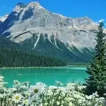 Артем, г. Невинномысск