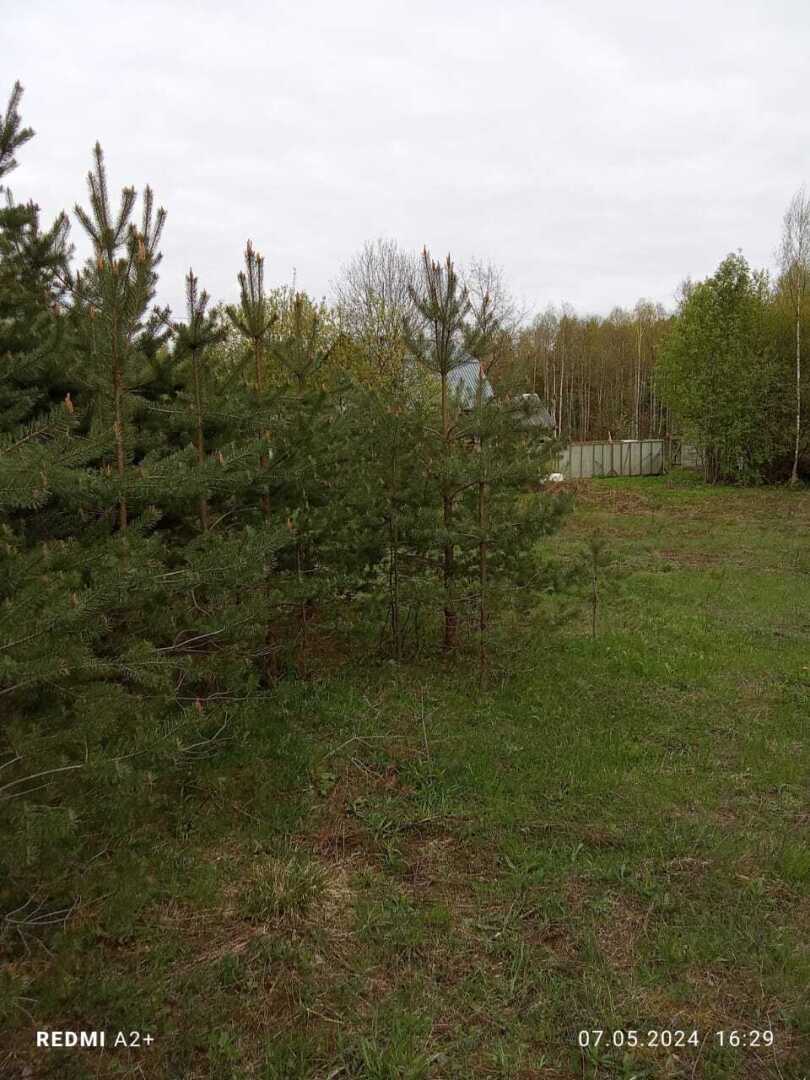 Сосны, воздух и 10 соток счастья: Как "валдайнуться" от городской суеты и не прогадать.