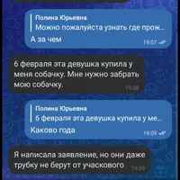 Screenshot_20240710-071613.png