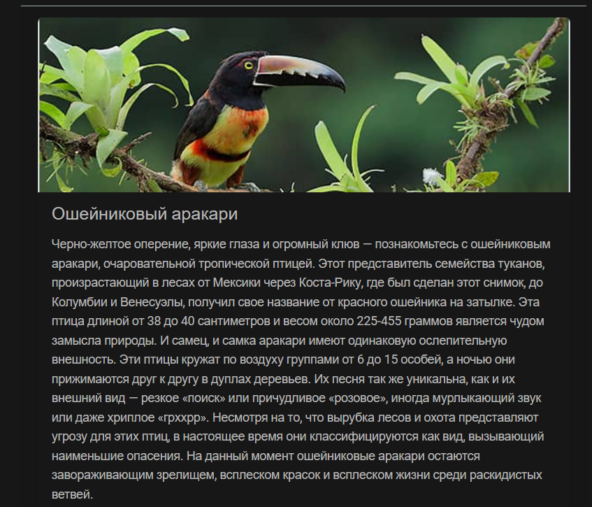 Блуждая в интернете я увидел такую птицу. От которой у меня возник большой интерес. И не удержался я решил поселить на рабочий ОС системного блока.