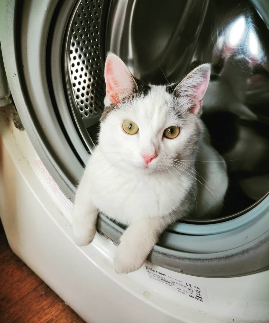 ТОП-8 моих любимых фотографий. И их небольшая история.