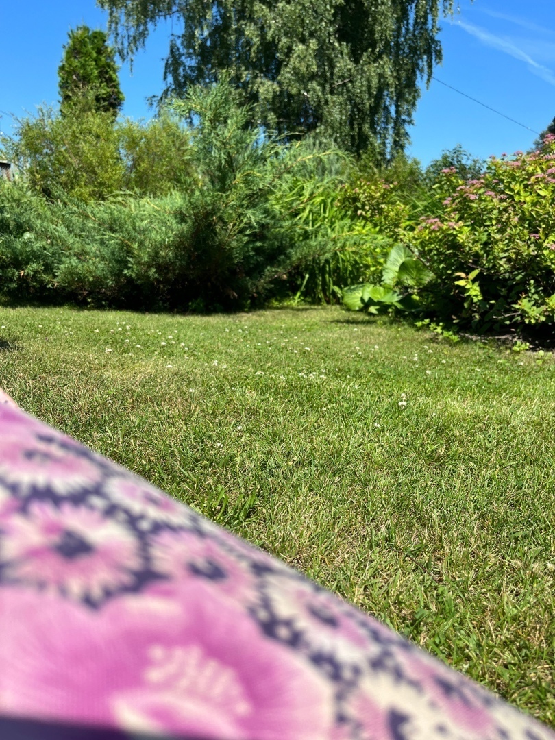 В Думе поддержали проект о штрафах за неправильный выгул домашних животных