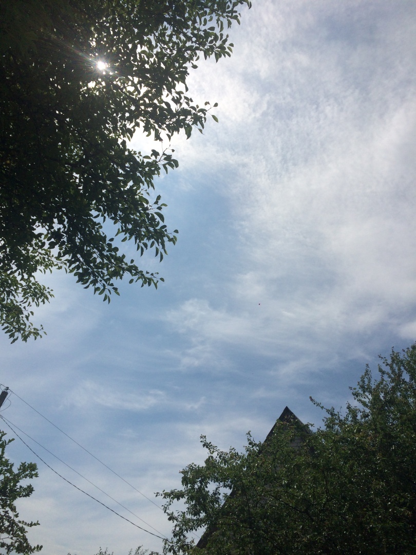 Как мы попали на большие деньги! "Газпром межрегионгаз"